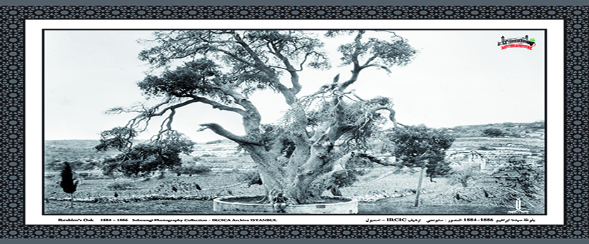 شجرة عائلة سيدنا ابراهيم